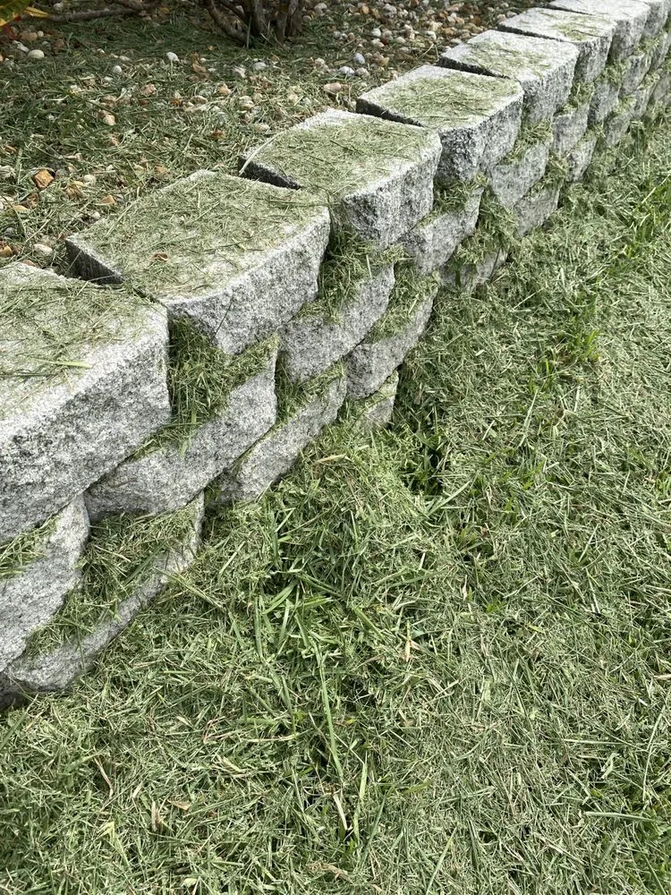 Local yard cleanup service for year-round maintenance across St. Petersburg, FL - Abundant Lawn