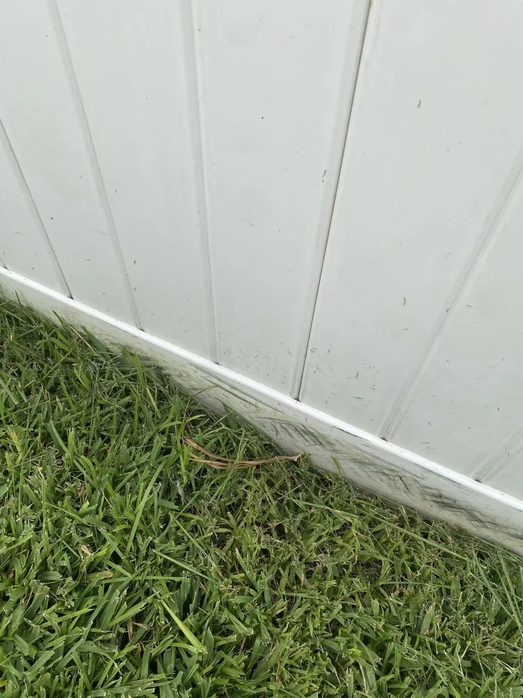 Expert yard maintenance experts serving St. Petersburg, FL - Abundant Lawn