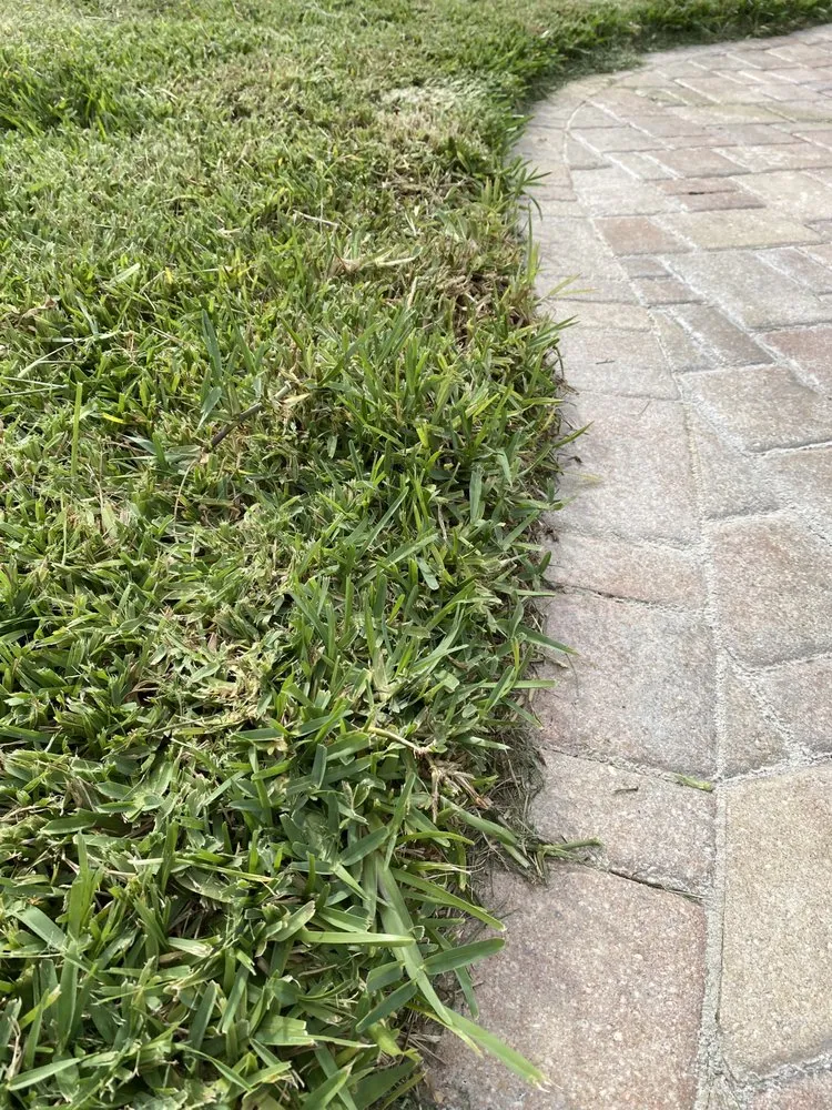 Custom landscaping services in St. Petersburg, FL - Abundant Lawn