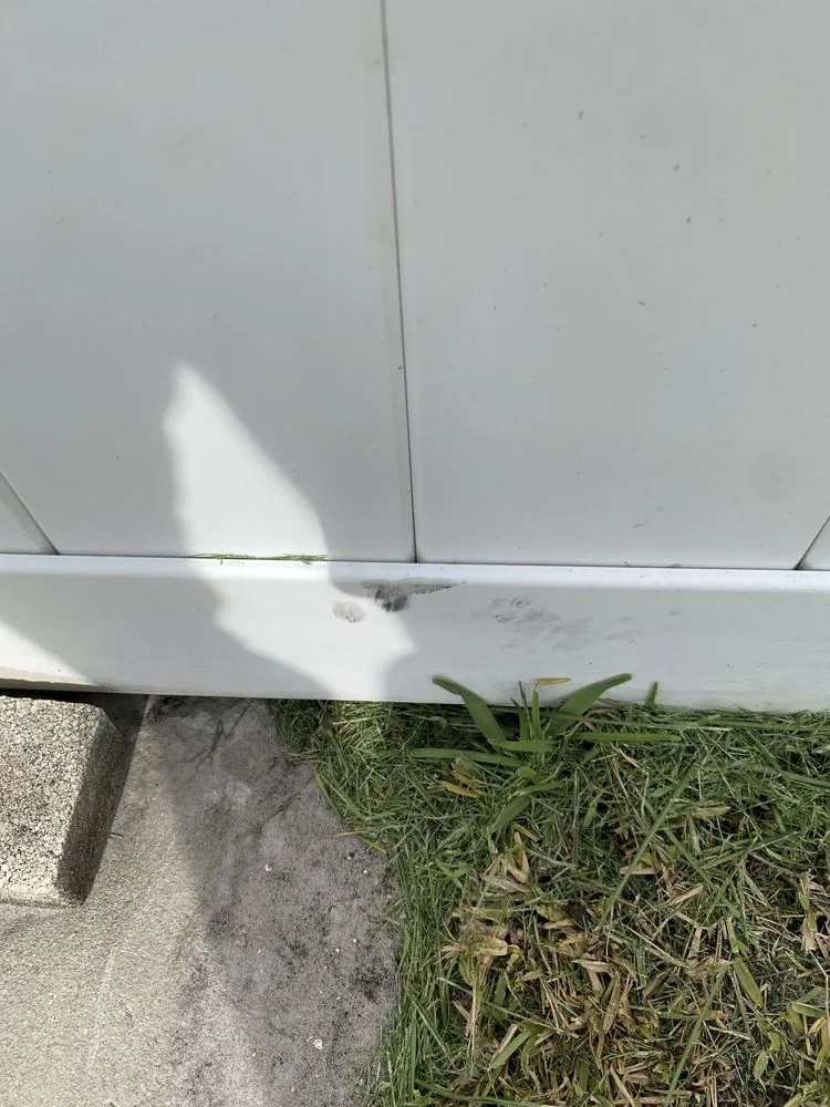 Custom landscaping services experts serving St. Petersburg, FL - Abundant Lawn