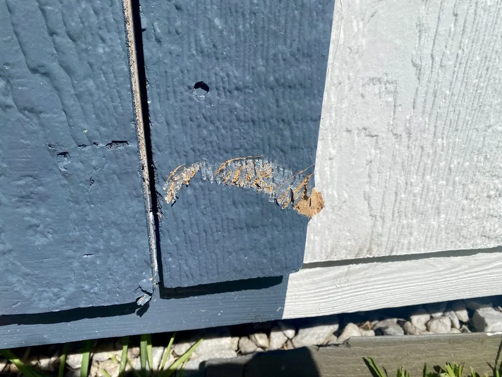 Trusted landscape design in St. Petersburg, FL - Abundant Lawn