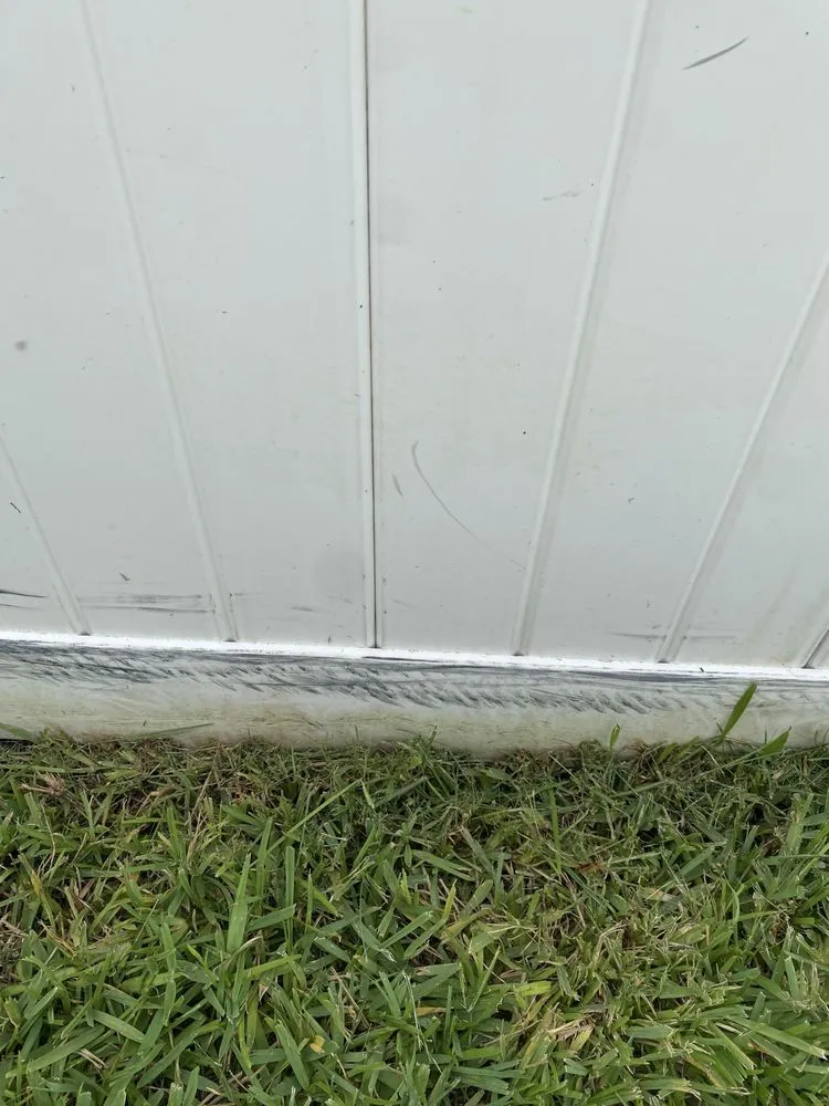 Reliable yard maintenance experts serving St. Petersburg, FL - Abundant Lawn