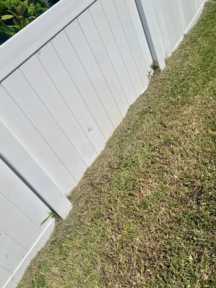 Custom garden landscaping in St. Petersburg, FL - Abundant Lawn