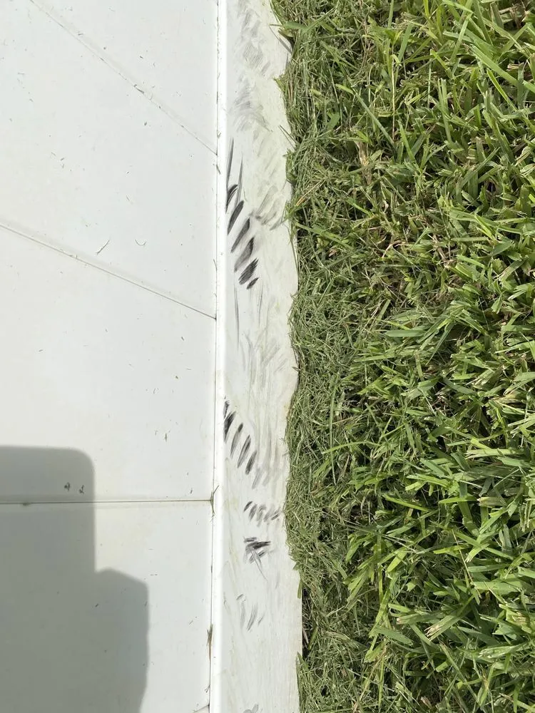 Expert landscape design in St. Petersburg, FL - Abundant Lawn