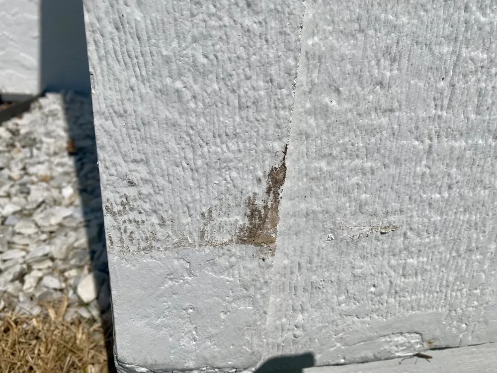 Professional outdoor landscaping in St. Petersburg, FL - Abundant Lawn