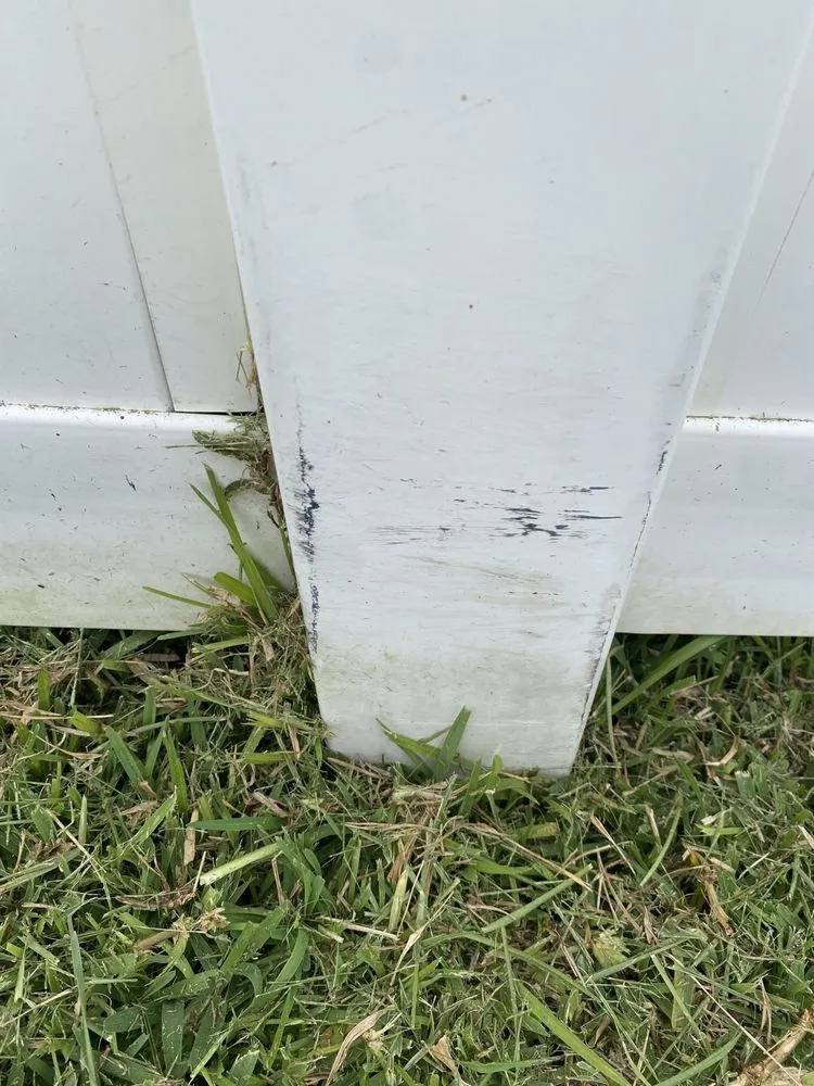 Local landscaping services with custom design across St. Petersburg, FL - Abundant Lawn