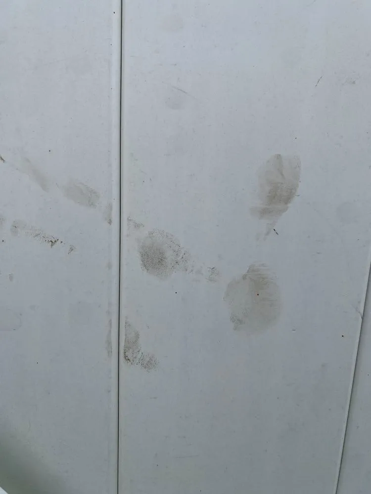 Reliable landscape design in St. Petersburg, FL - Abundant Lawn