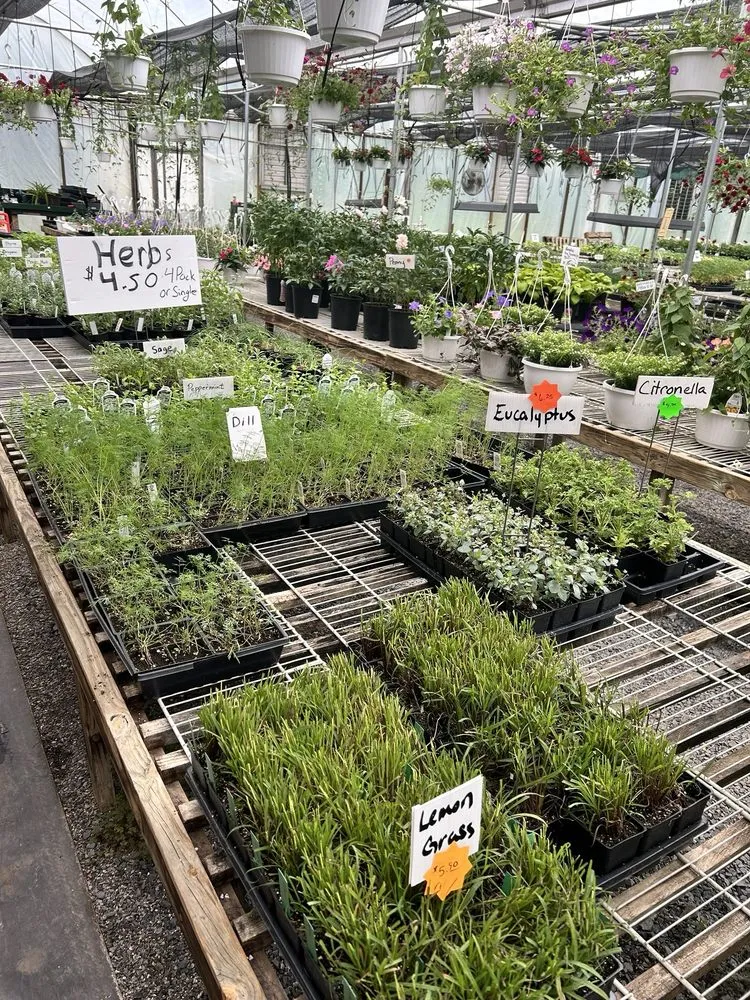Local landscape installation experts serving Shanks, WV - Abundant Life Greenhouse