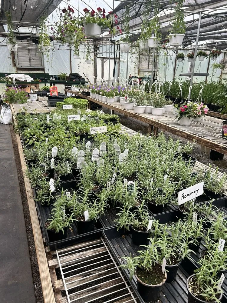 Custom yard maintenance for year-round maintenance across Shanks, WV - Abundant Life Greenhouse