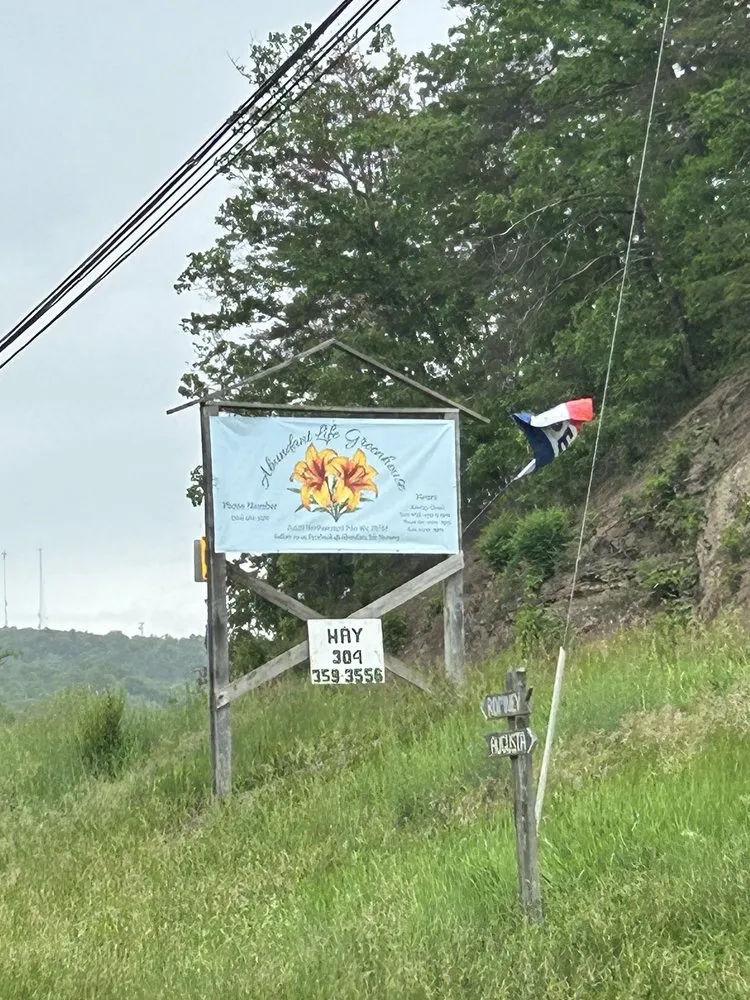 Professional lawn care service near you across Shanks, WV - Abundant Life Greenhouse