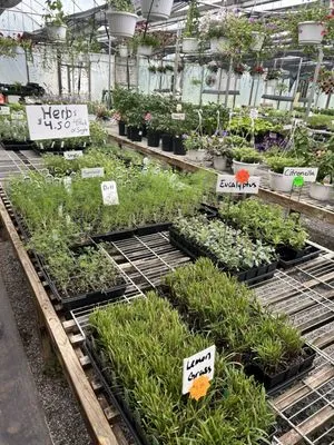 Abundant Life Greenhouse