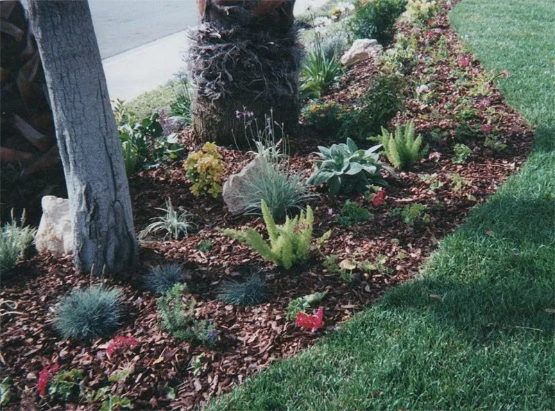 Custom residential landscaping in La Mesa, CA by Abundant Life Landscape Maintenance