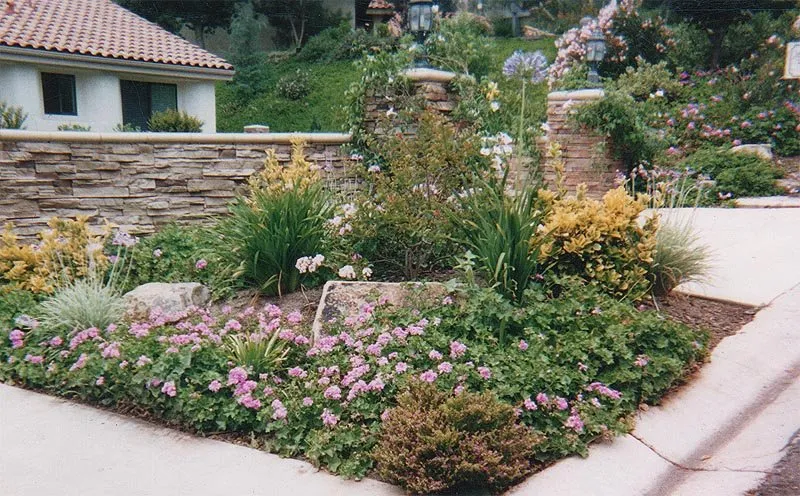 Expert residential landscaping in La Mesa, CA by Abundant Life Landscape Maintenance