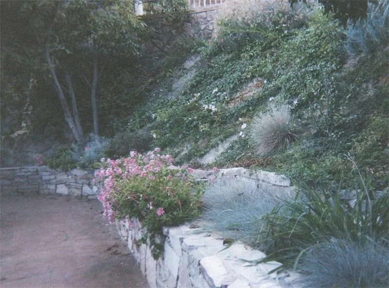 Trusted landscaping services in La Mesa, CA - Abundant Life Landscape Maintenance