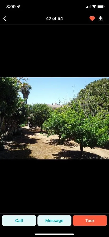 Top-rated landscape installation experts serving La Mesa, CA - Abundant Life Landscape Maintenance