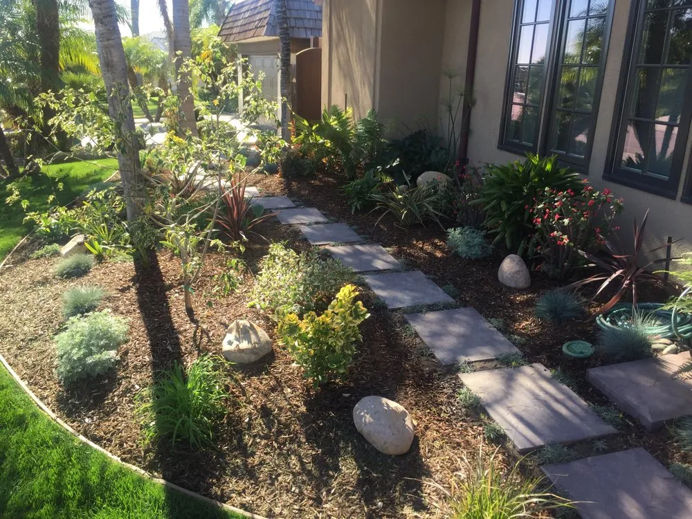 Professional lawn care service near you across La Mesa, CA - Abundant Life Landscape Maintenance