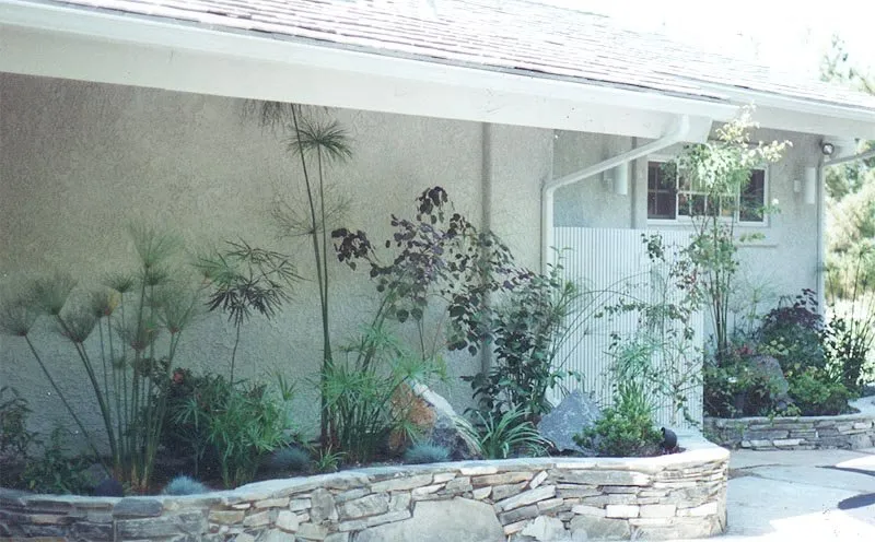 Top-rated yard maintenance for residential properties across La Mesa, CA - Abundant Life Landscape Maintenance
