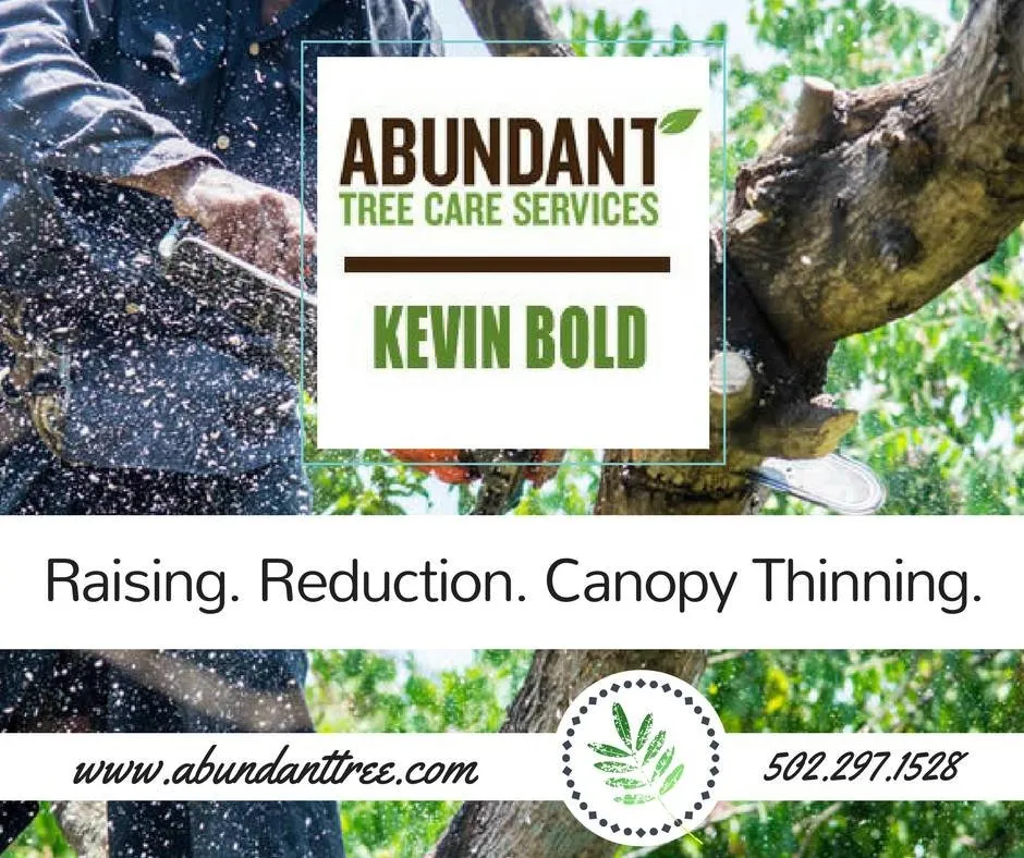 Top-rated lawn care service experts serving Louisville, KY - Abundant Tree Care Services