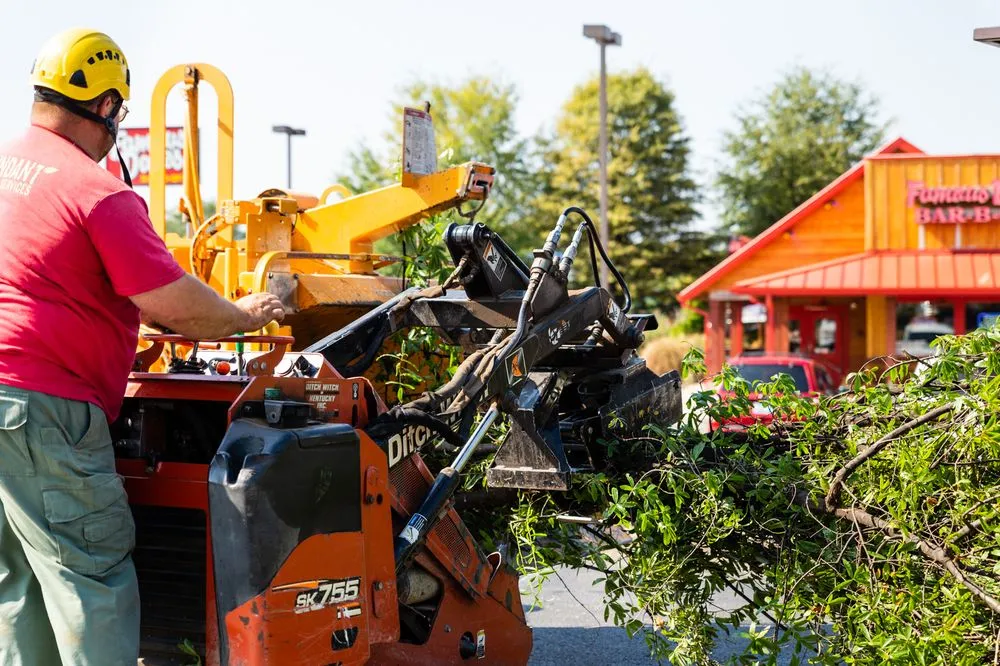 Affordable lawn care service for beautiful yards across Louisville, KY - Abundant Tree Care Services