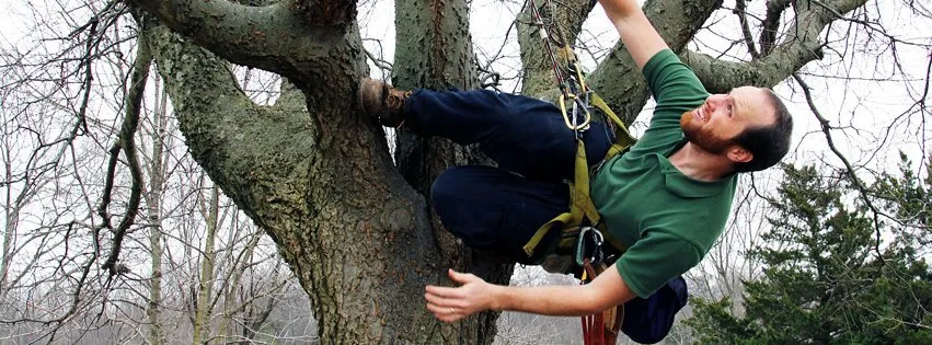 Reliable lawn care service for beautiful yards across Louisville, KY - Abundant Tree Care Services