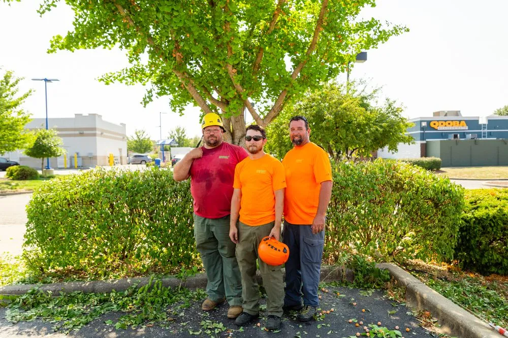 Local outdoor landscaping in Louisville, KY - Abundant Tree Care Services