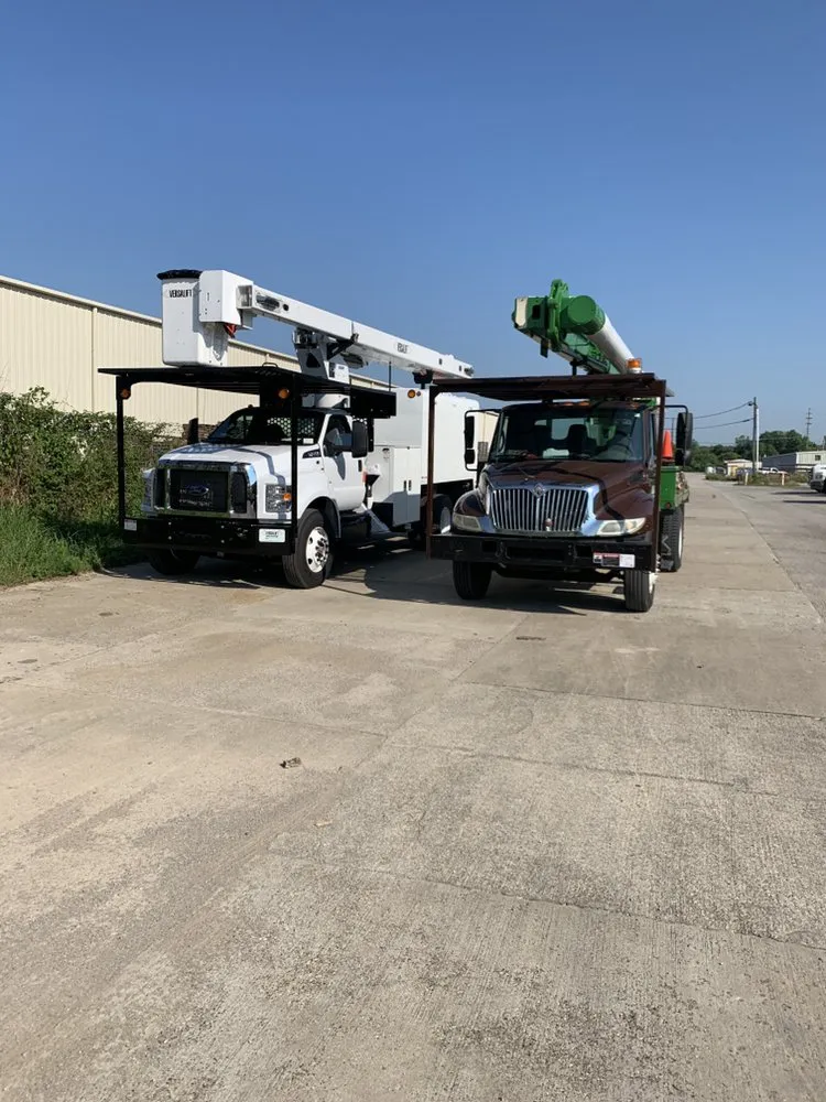 Top-rated yard maintenance in Louisville, KY - Abundant Tree Care Services