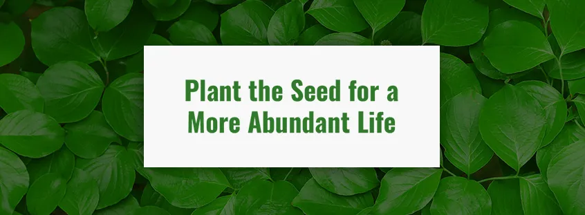 Trusted outdoor landscaping for year-round maintenance in Louisville, KY by Abundant Tree Care Services