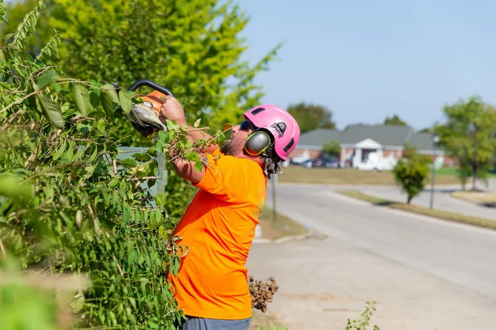 Affordable lawn mowing service experts serving Louisville, KY - Abundant Tree Care Services