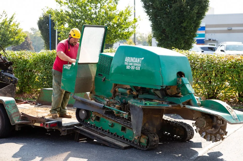 Professional yard cleanup service in Louisville, KY - Abundant Tree Care Services