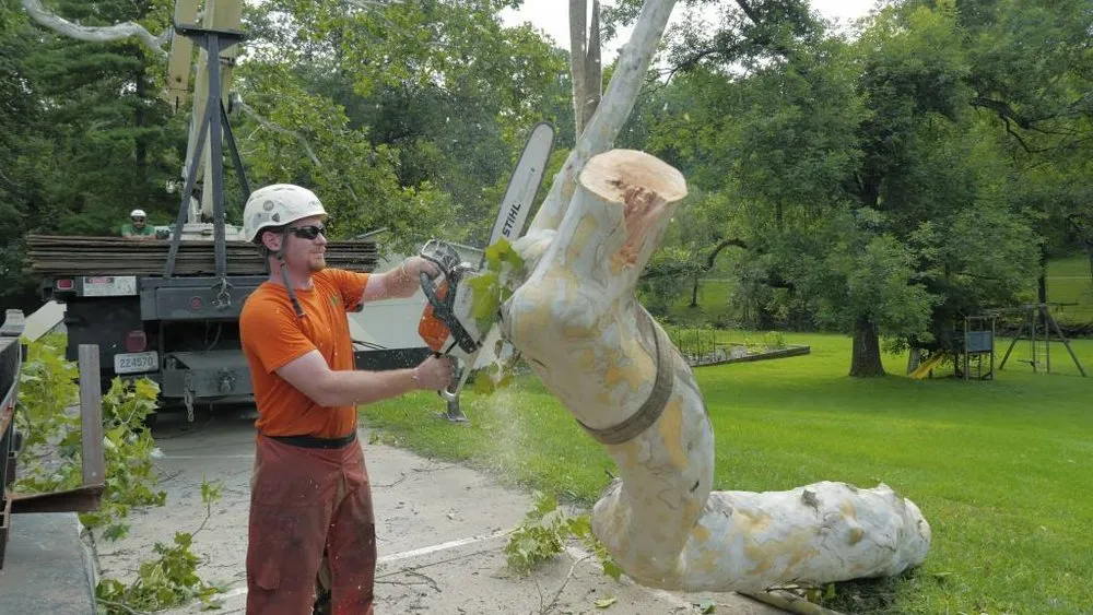 Local lawn mowing service experts serving Louisville, KY - Abundant Tree Care Services