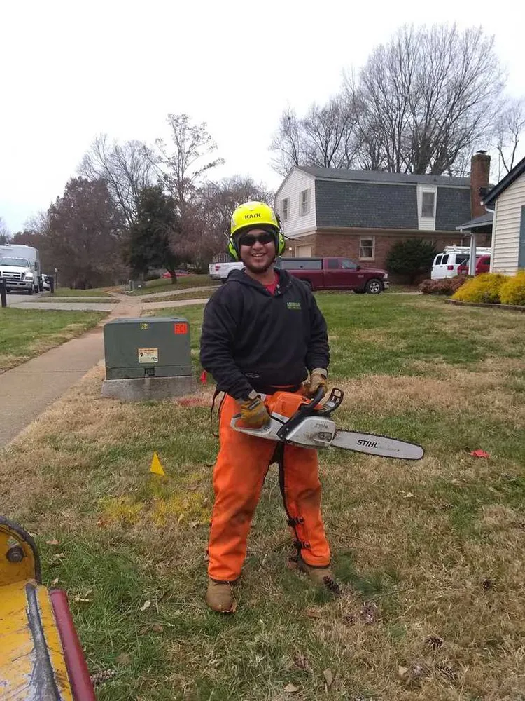 Local lawn mowing service in Louisville, KY - Abundant Tree Care Services