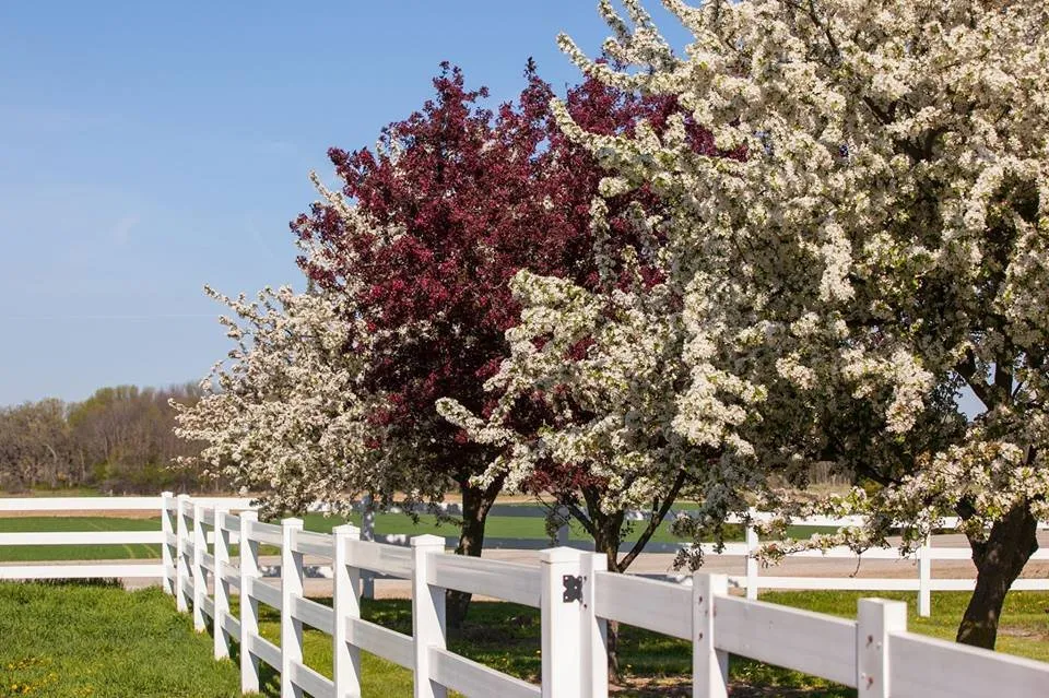 Custom lawn mowing service in Louisville, KY by Abundant Tree Care Services