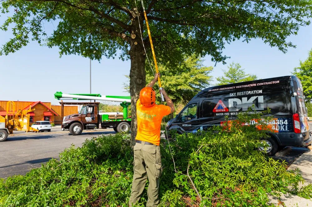 Reliable landscape installation in Louisville, KY - Abundant Tree Care Services