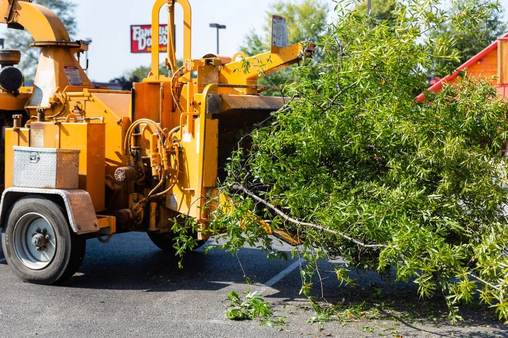 Professional yard cleanup service for residential properties in Louisville, KY by Abundant Tree Care Services