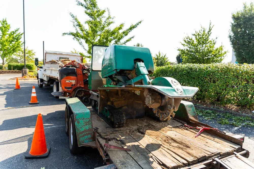 Professional lawn mowing service in Louisville, KY - Abundant Tree Care Services