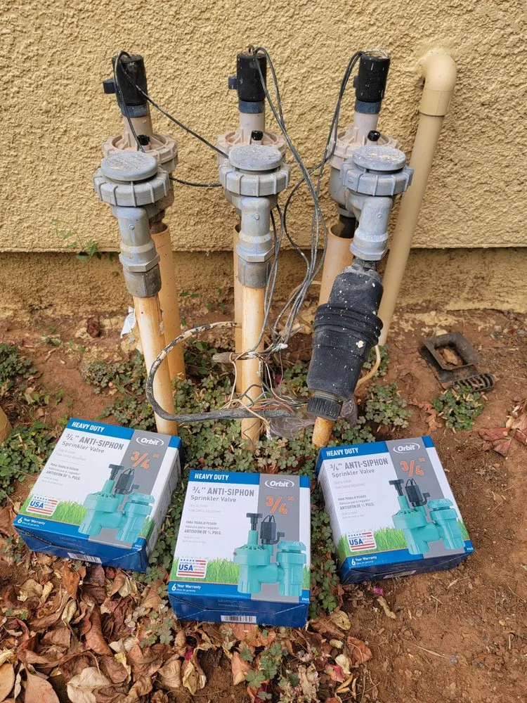 Professional landscape design in Sacramento, CA by ABV Property Services