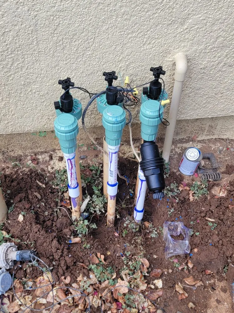 Professional residential landscaping with custom design in Sacramento, CA by ABV Property Services