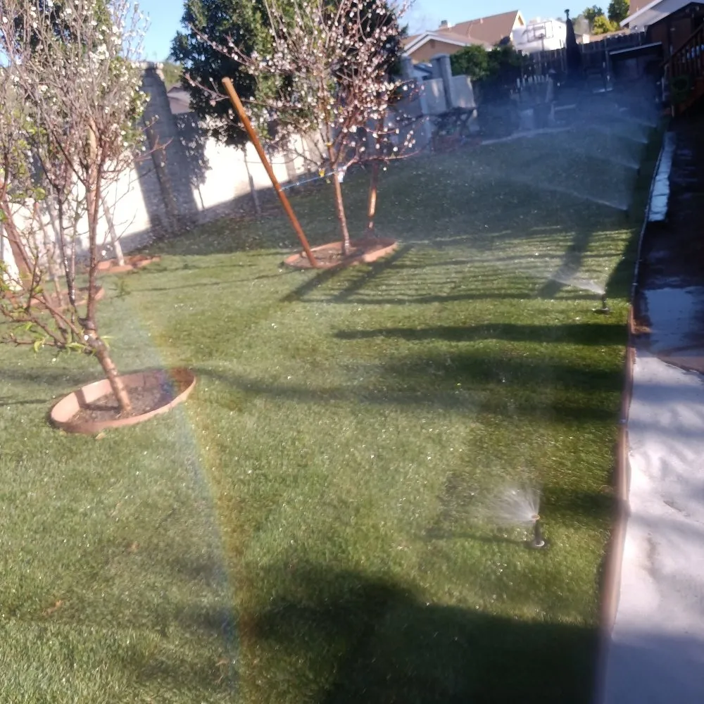 Custom garden landscaping with custom design in Vista, CA by Aby Services