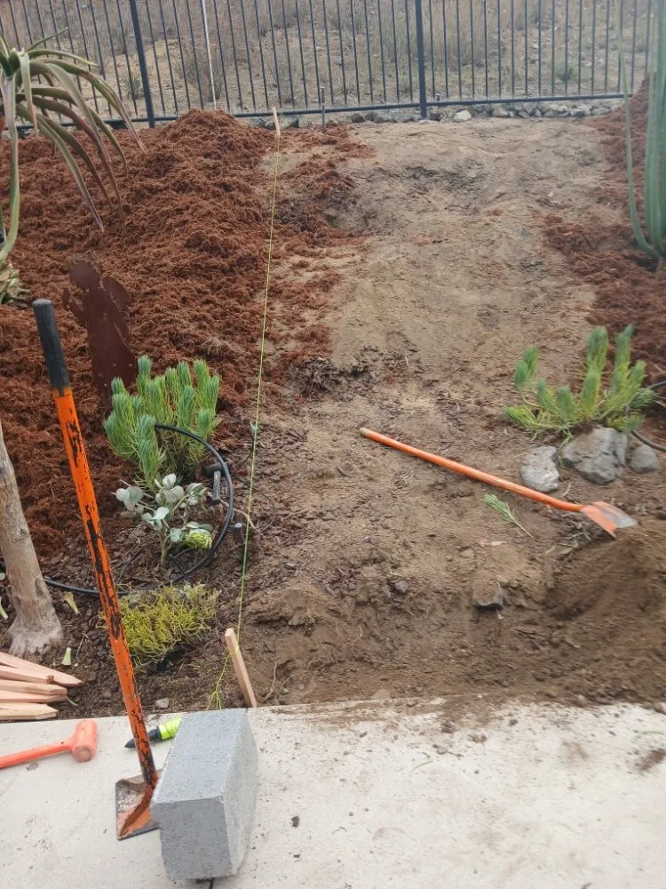 Affordable yard cleanup service in Vista, CA by Aby Services