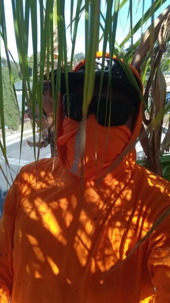 Custom residential landscaping in Vista, CA - Aby Services