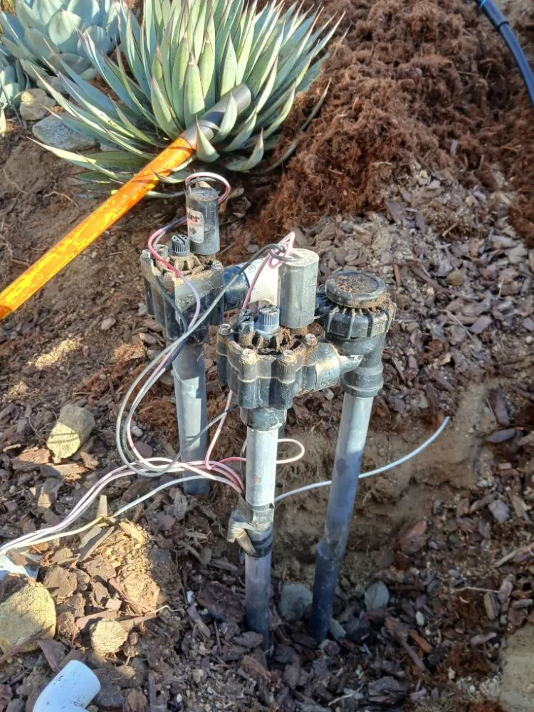 Professional garden landscaping for beautiful yards across Vista, CA - Aby Services