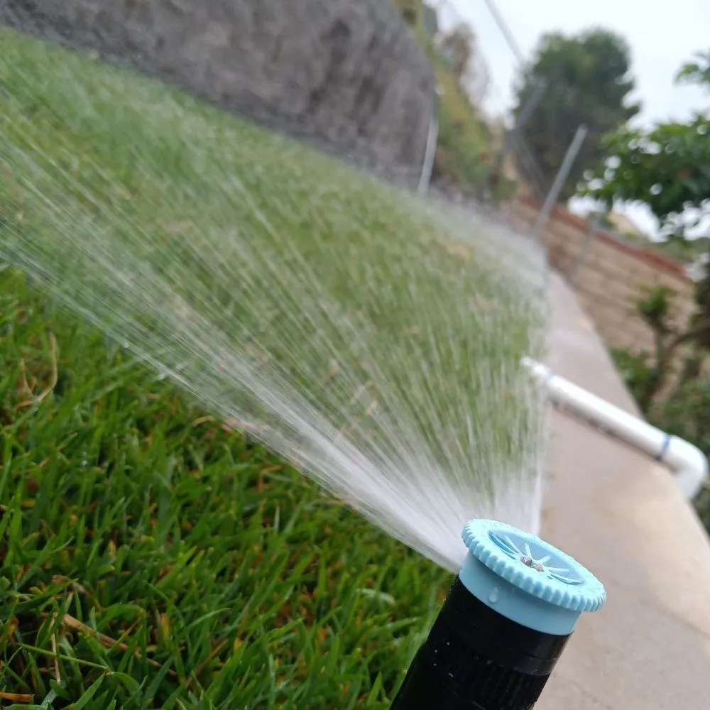 Custom landscape installation in Vista, CA by Aby Services