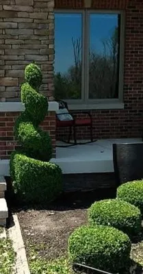 AC & CCs Landscaping Logo