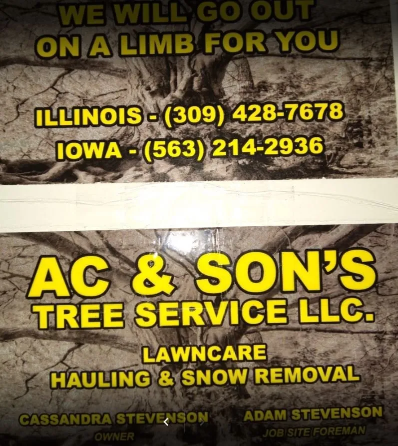 Reliable landscape installation for year-round maintenance across Davenport, IA - AC & Son's Tree Service