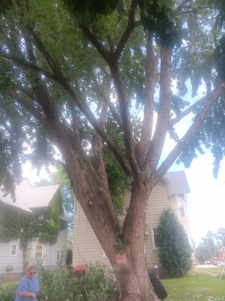 Custom lawn care service in Davenport, IA - AC & Son's Tree Service