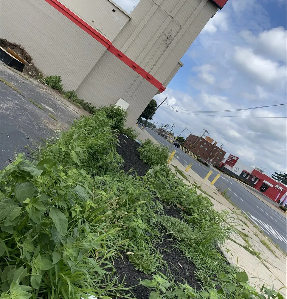 Custom landscape design with custom design in Philadelphia, PA by AC Cleaning And Property Maintenance