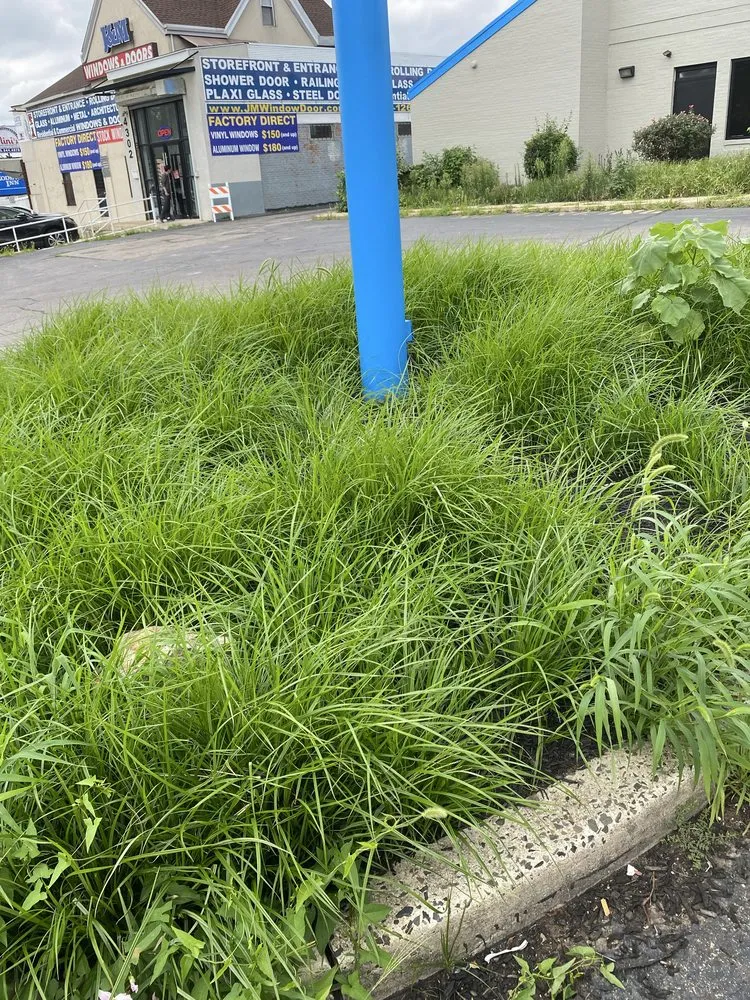 Reliable outdoor landscaping for residential properties in Philadelphia, PA by AC Cleaning And Property Maintenance