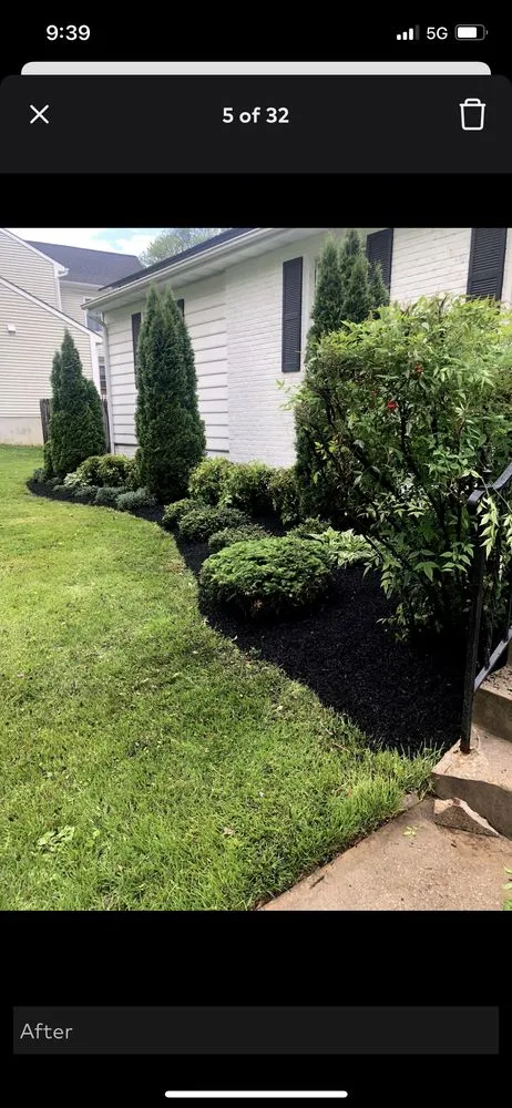 Reliable yard cleanup service in Dudley, NC by A&C Commercial Services