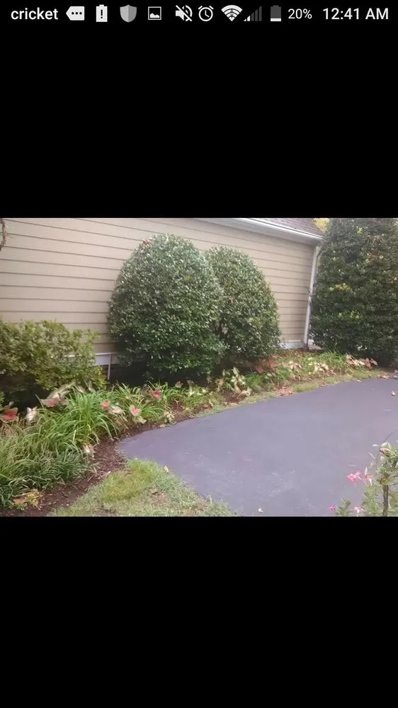 Local yard cleanup service with custom design in Richmond, VA by A&C Complete Service