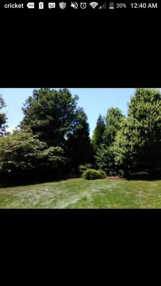 Professional lawn mowing service experts serving Richmond, VA - A&C Complete Service